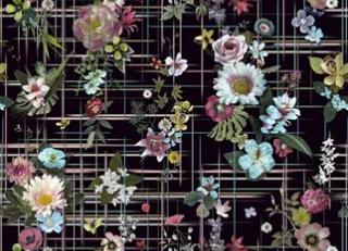 Фото - Ткани Christian Lacroix Au Theatre ce Soir Fabrics - 363191>