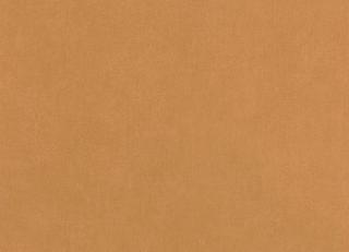 Фото - Обои Caselio - 522261>