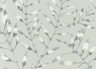 Фото - Обои Harlequin Anthozoa - 342795>