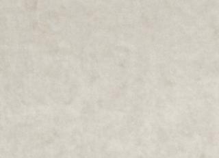 Фото - Ткани Clarke&Clarke Regal - 305375>