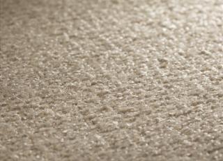 Фото - Ковры JAB Anstoetz Fidelity - 572652>