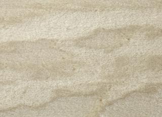 Фото - Ткани Dedar Orsetto - 549280>