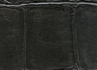 Фото - Обои Elitis Anguille - 257736>