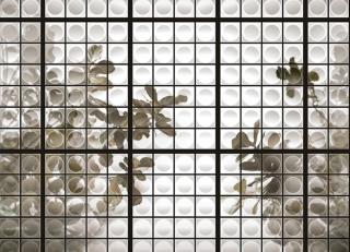 Фото - Обои Wall&Deco CODE 2019 CONTEMPORARY - 464918>