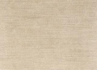 Фото - Ткани Clarke&Clarke Majestic Velvet - 296309>