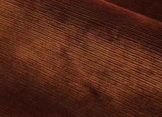 Фото - Ткани Misia Cinq Terres - 507556>