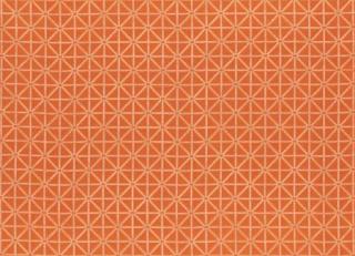 Фото - Ткани Clarke&Clarke Uzbek - 305416>