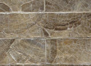 Фото - Обои Maya Romanoff Flexi Mother of Pearl - 554056>