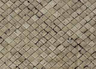 Фото - Обои CMO Paris Palm Tree - 550967>