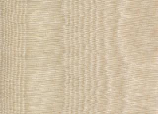 Фото - Обои Sangiorgio Ottocento Classico - 254900>