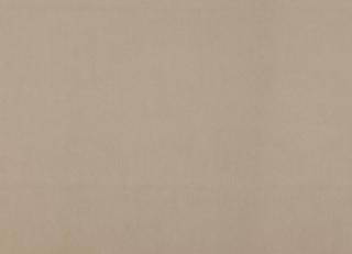 Фото - Ткани Дом CARO Plushery - 533194>