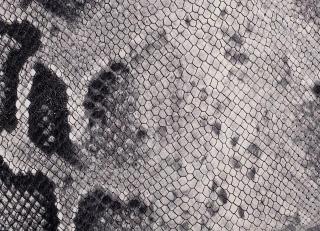 Фото - Аксессуары Pavoni Кожа Liveri - 588837>