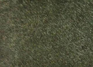 Фото - Аксессуары Pavoni Кожа Vitellina Pelo - 589028>