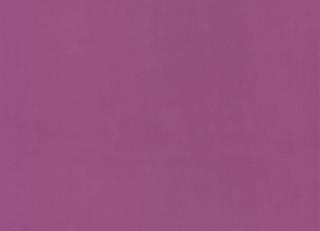 Фото - Обои Caselio Pretty Lili - 375908>