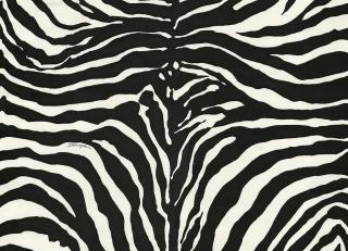 Фото - Обои Emiliana Parati Dolce&Gabbana - 609951>