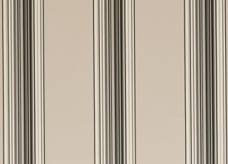 Фото - Ткани Clarke&Clarke Nomad - 404395>