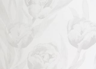 Фото - Обои Designers Guild Marquisette - 250509>