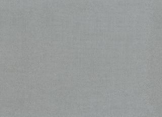 Фото - Ткани Rubelli Fiftyshades - 489403>