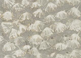 Фото - Ткани Zoffany Boleyn Fabrics - 327200>