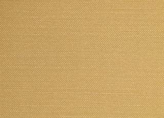 Фото - Ткани Pepe Penalver Beyul - 428530>