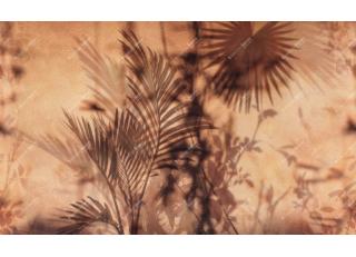 Фото - Обои Inkiostro Bianco Light and Shadows - 547553>