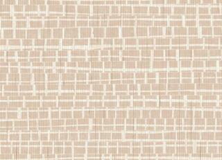 Фото - Обои Arte Contract Madagascar - 629870>