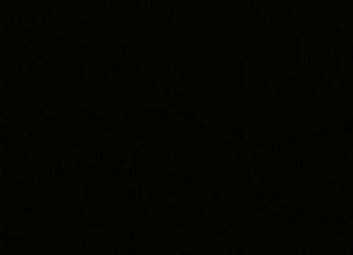 Фото - Ткани Misia Aphrodite - 414211>