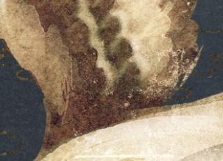 Фото - Обои Elitis Soleil levant - 469519>