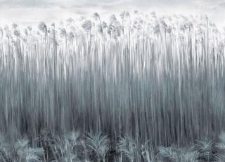 Фото - Обои Italreflexes Kata - 390515>