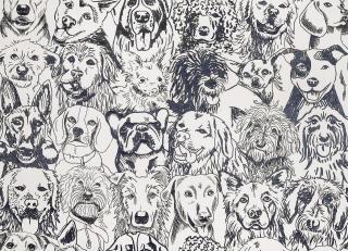 Фото - Обои Pierre Frey The Cult of Beauty - 537690>