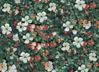 Фото - Обои Coordonne Naturae - 559371>