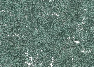 Фото - Обои Tres Tintas Wall A Porter - 198197>