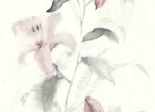 Фото - Обои KT Exclusive Jasmine - 315389>