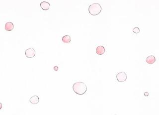 Фото - Обои KT Exclusive Tales - 347719>