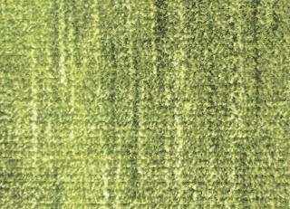 Фото - Ткани Foresti Home Collection Velluto Supreme - 563604>