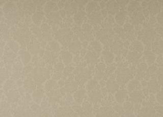 Фото - Ткани Colefax and Fowler Ruskin II - 570498>