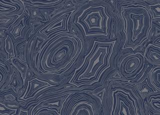 Фото - Обои Cole & Son Fornasetti Senza Tempo - 423520>