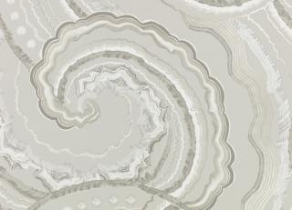 Фото - Обои Romo Temperley Wallcoverings - 565910>