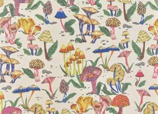 Фото - Обои Pierre Frey Jardins Secrets Wallpapers - 617452>