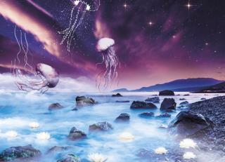 Фото - Обои Ortograf Mirage - 477160>