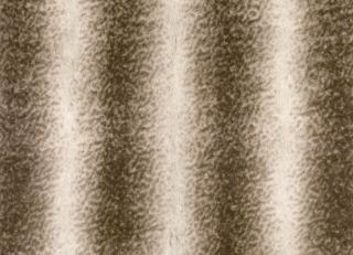 Фото - Ткани Zinc Husky - 385755>