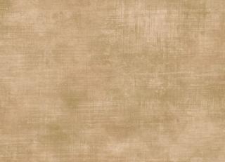 Фото - Обои Studio Eight Trinidad - 454797>