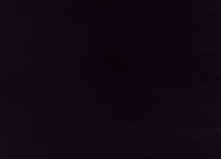 Фото - Ткани Kirkby design Ice Cotton Velvet - 331471>