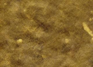 Фото - Обои Arlin Gondwana - 341723>