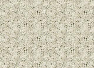 Фото - Обои Mr Perswall Daily Details - 234491>