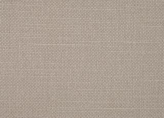 Фото - Ткани Sanderson Arley - 302580>