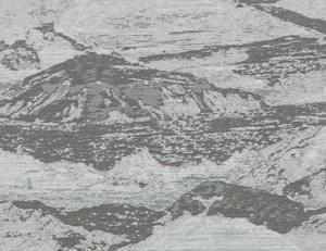 Фото - Ткани Studio G Olympus - 513285>