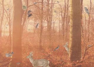 Фото - Обои Mr Perswall Creativity & Photo Art - 235088>