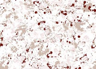 Фото - Обои Coordonne Mallorca - 466726>