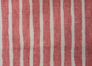 Фото - Ткани Titley and Marr Gujarat Safari Collection - 387058>